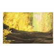 thumbnail image 2 of CADecor Colorful foliage in the autumn park Non-Slip Bath Rug Bath Mat Rug Doormat 30x18 inches, 2 of 3