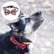 thumbnail image 3 of Collar navideño para perro con lazo, patrón clásico de cuadros escoceses y copos de nieve, collar ajustable para mascotas, 3 of 5