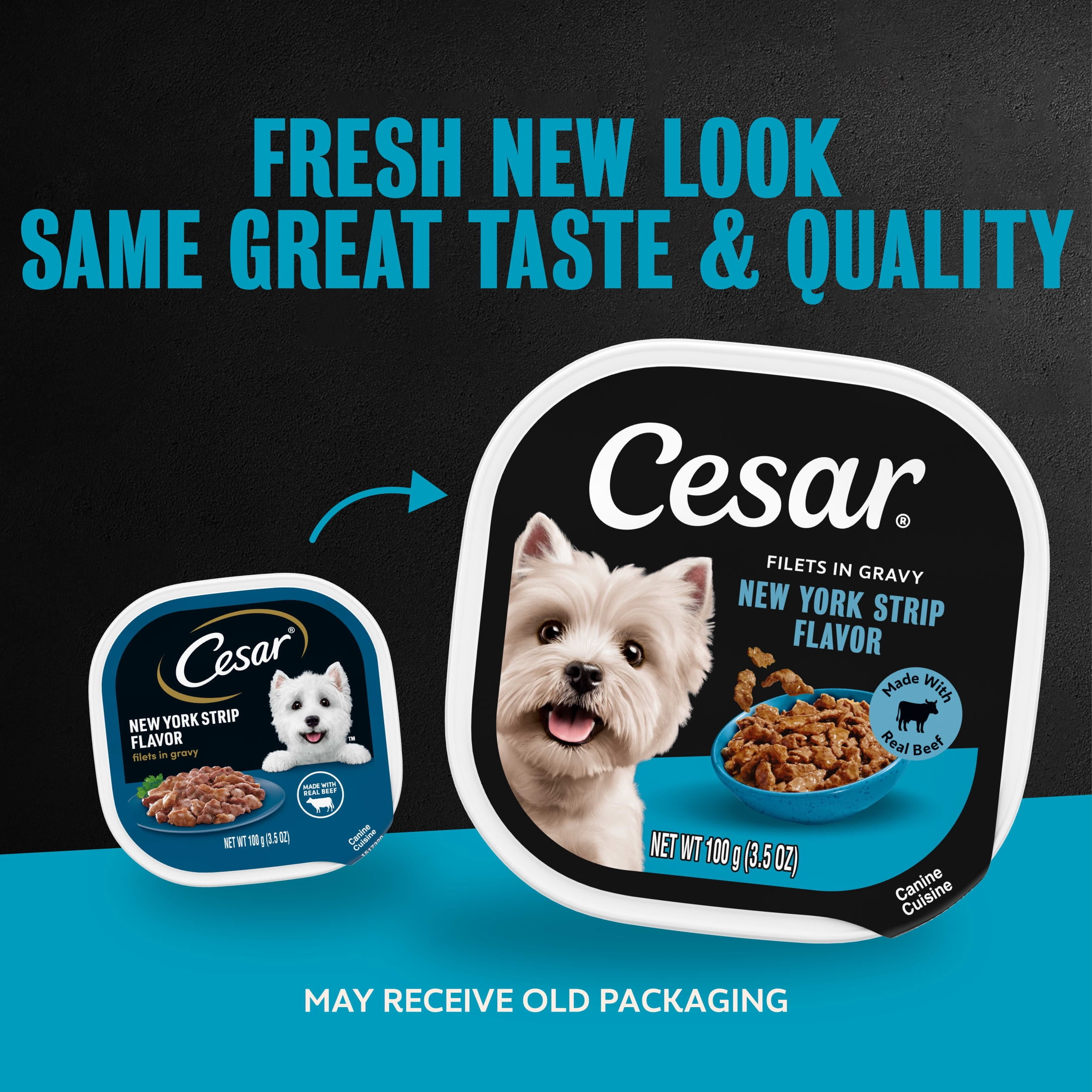 Cesar Filets in Gravy Wet Dog Food, New York Strip Flavor, 3.5 oz. Trays, Pack of 24