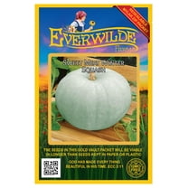 Everwilde Farms - 10 Sweet Meat Winter Squash Seeds - Gold Vault Seed Packet