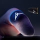 thumbnail image 2 of Guantes para juegos móviles transpirables Tipo de funda para el dedo Gatillo para PUBG Cateissary, 2 of 6