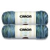 Caron Simply Soft Acrylic Spring Brook Yarn, 235 yd (2 Pack)