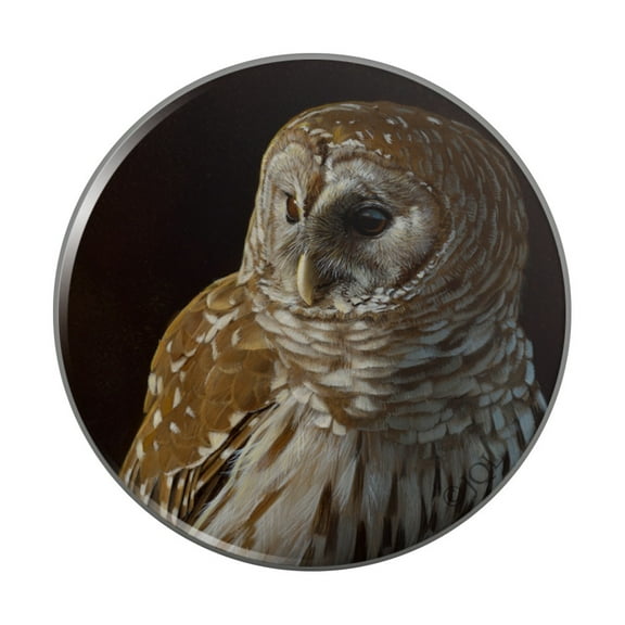 Barred Owl on Tree Branch Kitchen Refrigerator Locker Button Magnet