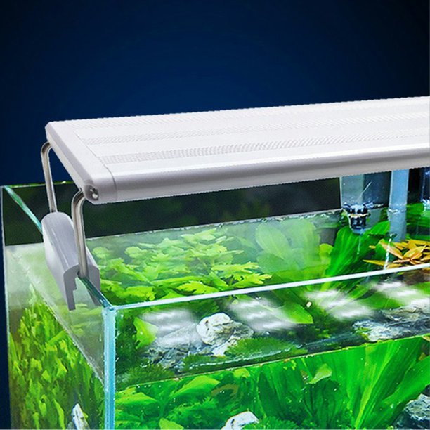Aquarium Light Stand Led Aquarium Light Glass Cylinder Aquarium Aquatic