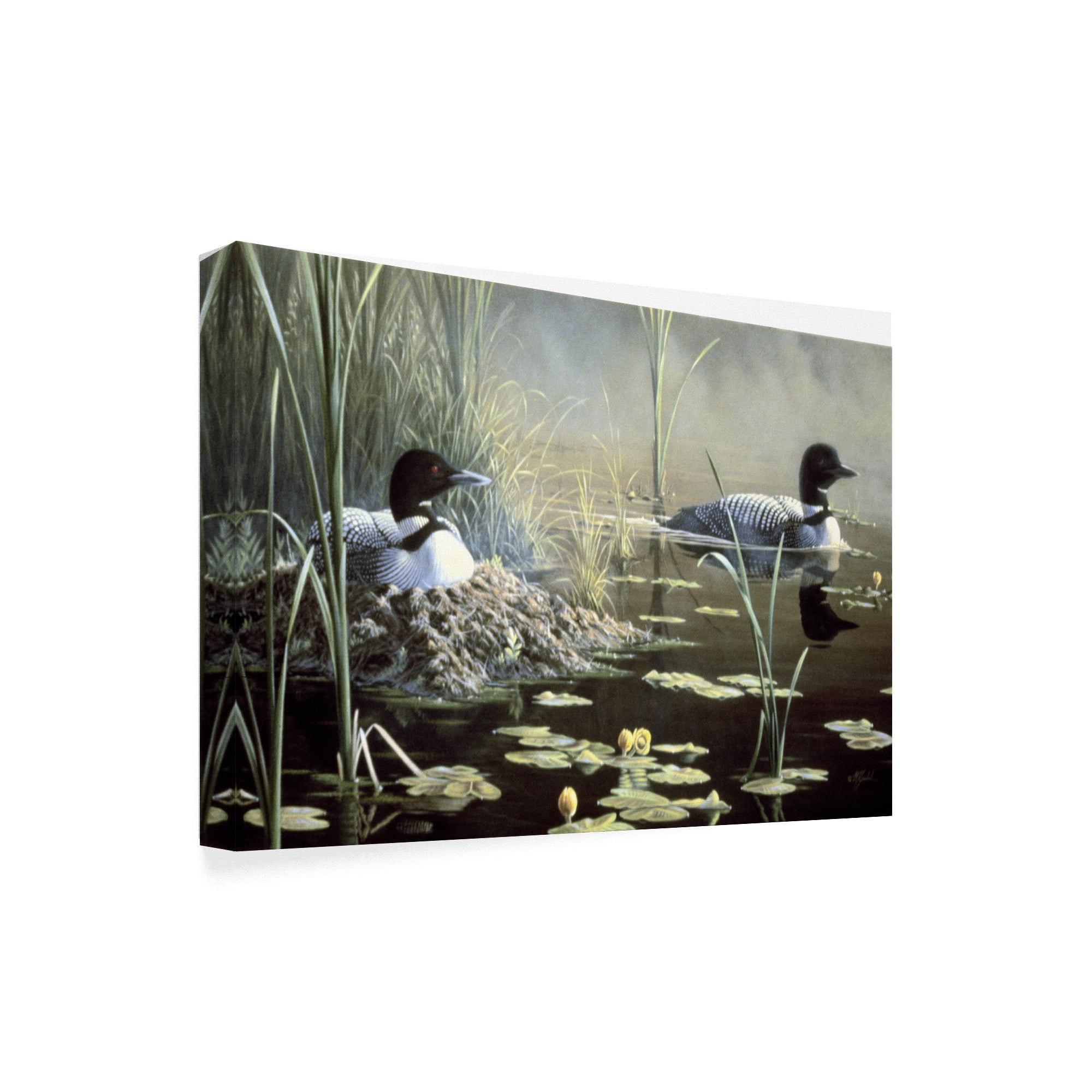 Trademark Fine Art 'Nesting Loons' Canvas Art by Wilhelm Goebel