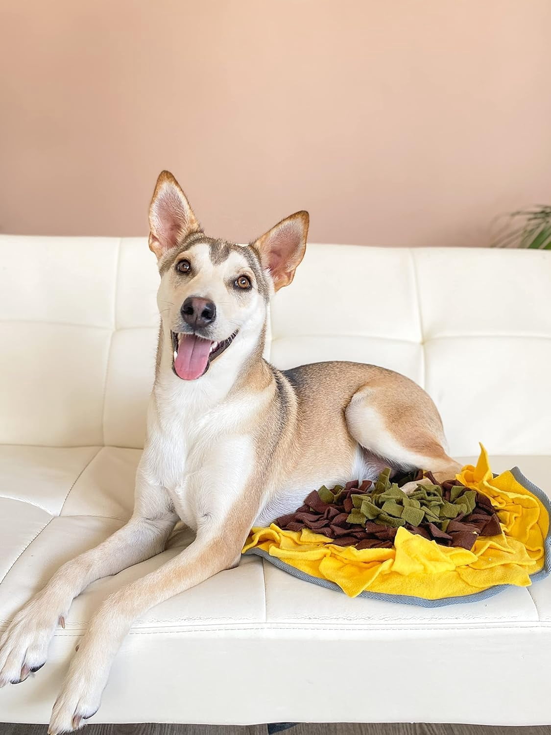 Snuffle Mat for Dogs, Large 19x19 Inch Plush Slow Feeder Mental Enrichment Toy, Interactie Foraging Puzzle to Reduce Anxiety & Boredom, Machine Washable Durable Chew Toy for All Breeds, Yellow