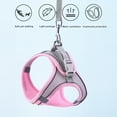 thumbnail image 6 of Yesbay Pet Vest Harness with Leash Adjustable Buckle No Pull Escape-proof Small Dog Puppy Cat Chest Harness Pet Supplies, 6 of 9