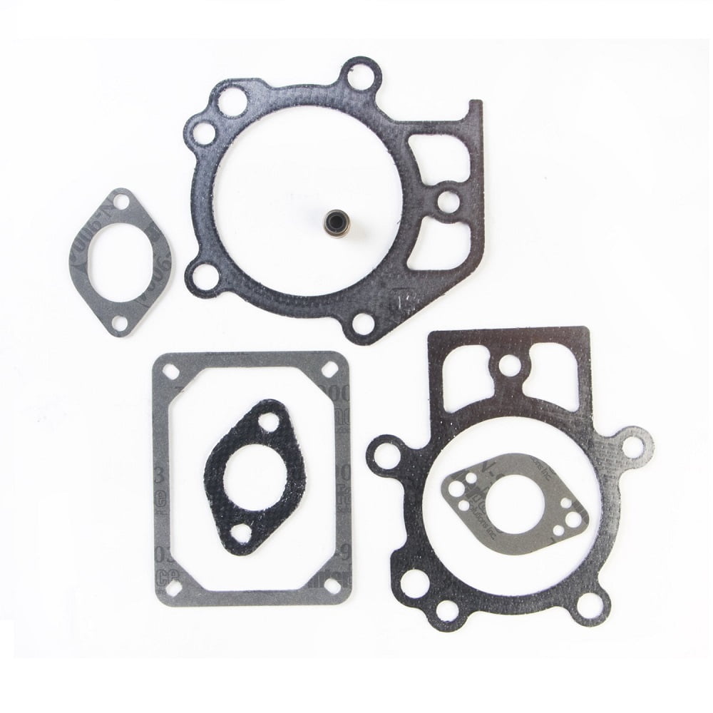 Briggs & Stratton OEM 695440 Gasket SetValve 2013120110B1 2013120110E9 2013120111B1