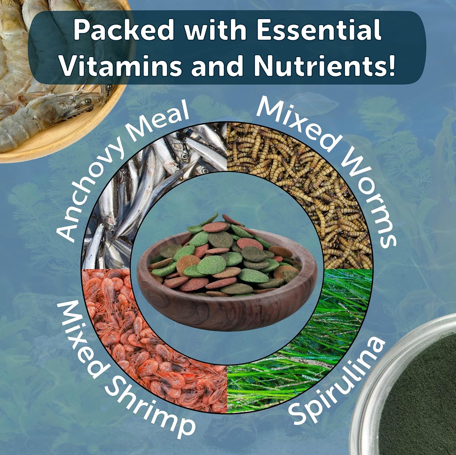 12mm - 1/2" Sinking Wafer Mix of Spirulina-Algae, Shrimp, Worm, Color Enhancing for Snails, Shrimp, All Fish, 12-Type Pellets Included 14.8oz Canister