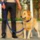thumbnail image 1 of Collar De Perro Y Set De Correa De Entrenamiento 130, 1 of 5