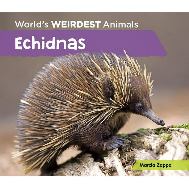 World's Weirdest Animals: Echidnas (Hardcover) World's Weirdest Animals: Echidnas (Hardcover)