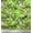 Lime Green, variant on Soimoi Cotton Duck Fabric Leaves & Lemur Animal Print Fabric by The Yard 42 Inch Wide