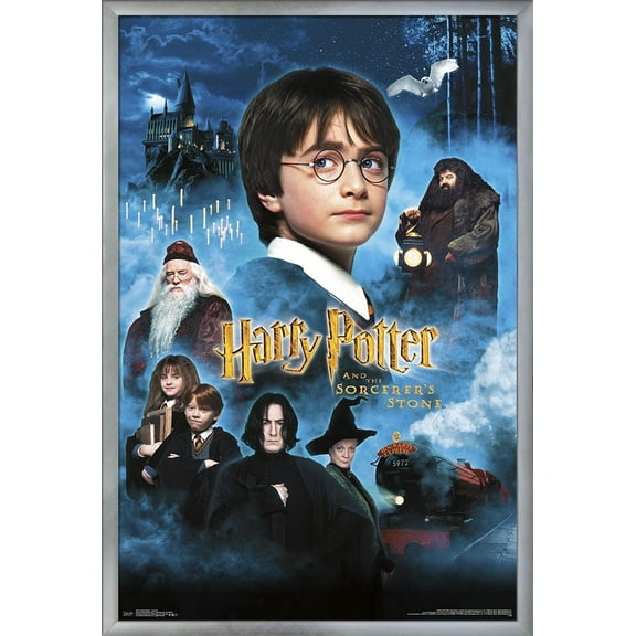 Harry Potter and the Sorcerer's Stone - Candles One Sheet Wall Poster, 22.375" x 34", Framed