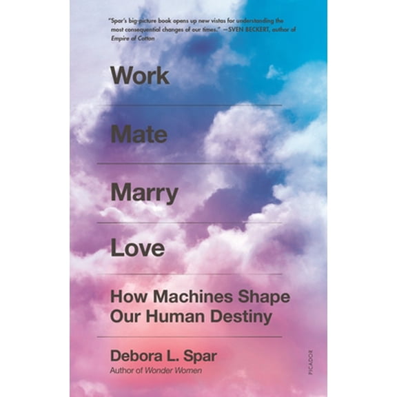 Pre-Owned Work Mate Marry Love: How Machines Shape Our Human Destiny (Paperback) 1250798736 9781250798732
