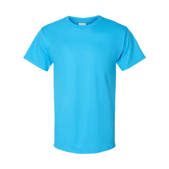 Hanes 5250T Men's 6.1 oz. Tagless T-Shirt (2 PACK)