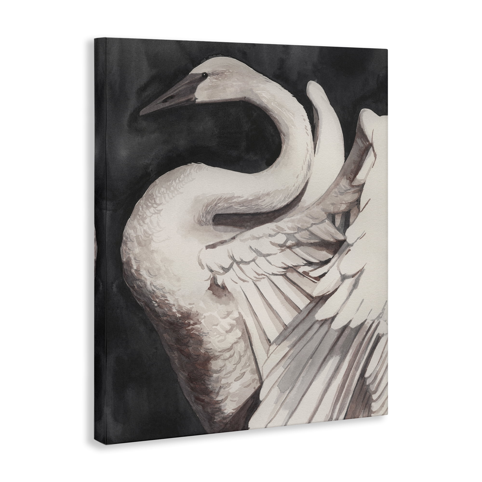 Stupell Industries Swan Spreading Wings Animals Painting Wrapped Canvas Art Print Wall Art, 24 x 30