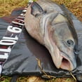 thumbnail image 4 of plegable para desenganchar de pesca, alfombrilla de aterrizaje, correas, almohadilla, aparejos de pesca de, 4 of 7