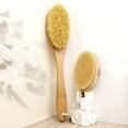 thumbnail image 6 of ACDANC Handle Dry Facial Cleansing Brush With Natural Soft Face Brush Cleanser Skin Care Exfoliating Brush Scrubber, 6 of 7