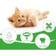 thumbnail image 2 of Juguete de hierba gatera con cepillo de dientes para gatos, cuidado dental de goma interactivo para gatitos y mascotas, juguete para masticar seguro en forma de cangrejo de río, limpieza de dientes, j Namotu YZY1583, 2 of 7