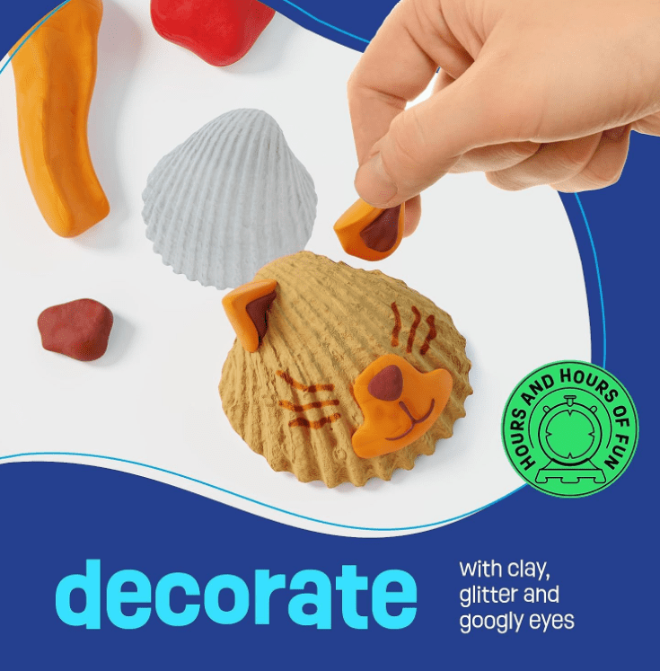 Seashell Painting Toy for Kids, Craft Set for Kids, Arts and Crafts Kits for Girls, DIY Crafts