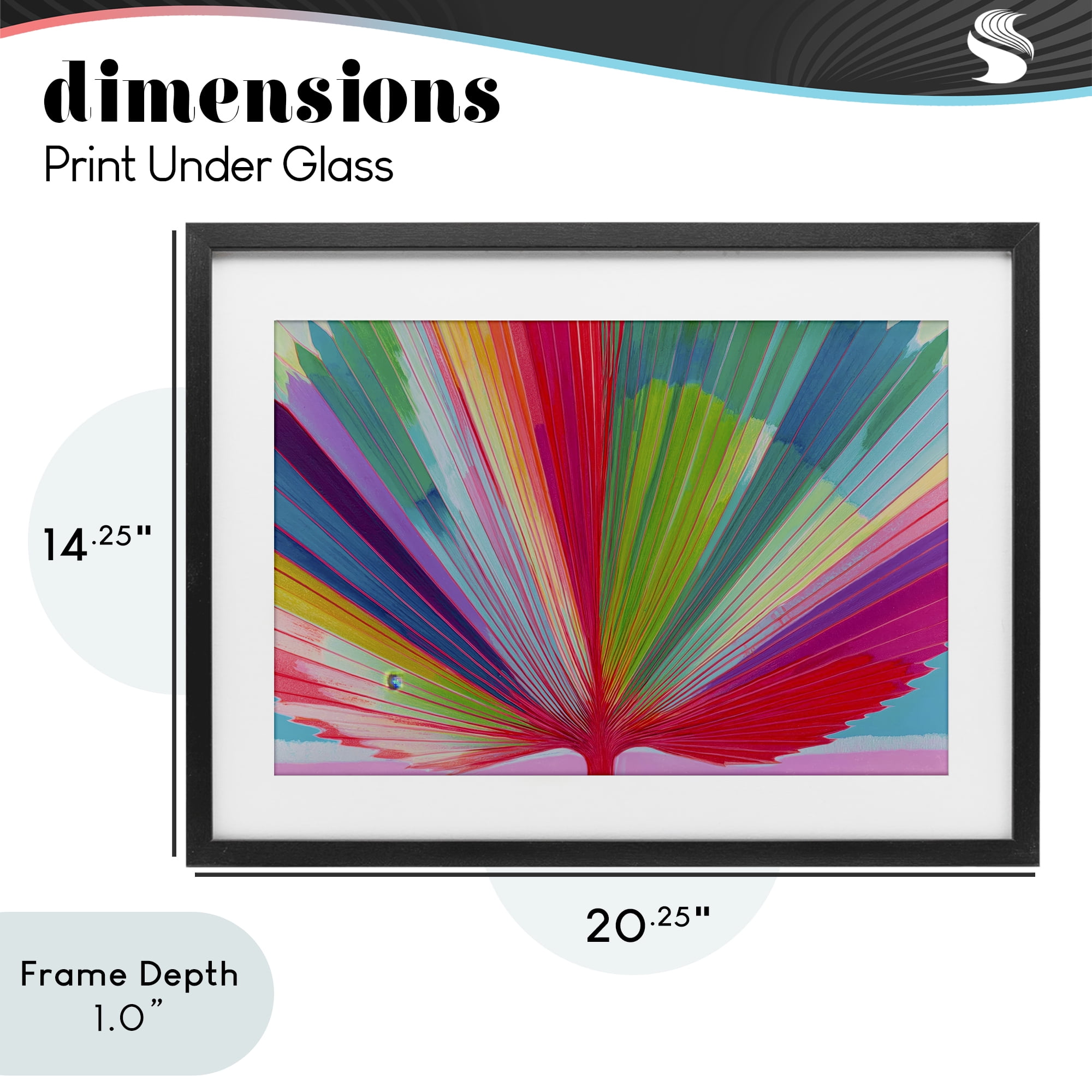 Stupell Industries Palm Fan In Spectrum Black Framed Print Under Glass, design by Chromatic Storm Studio