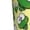 White, variant on Cartoon Frogs Print Pajama Pants for Men,Men’s Pajama Bottoms,Mens PJ Pants with Pockets & Button Fly-Small