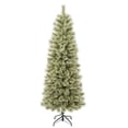 thumbnail image 4 of National Tree Company 6 ft. Artificial Arcadia Pine Cashmere Slim Christmas Tree, Green, Includes Stand, 4 of 5