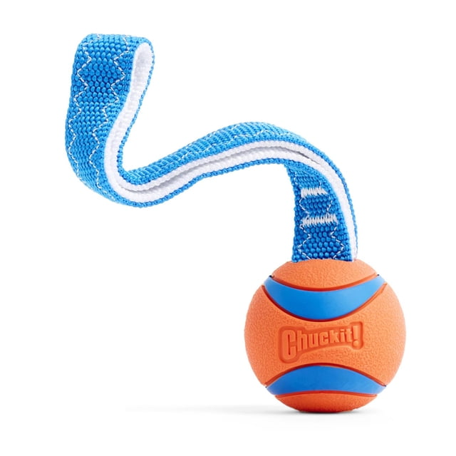 Juguete Interactivo Chuckit! Ultra Mediano para Perros