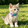 thumbnail image 3 of DGMIOCS Elastic Cat Collar of Safety Quick Release Cat Collars with Bell Anti-Suffocation Kitten Puppy Collars, 3 of 4