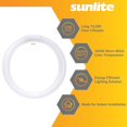 Sunlite FCL30/30K T9 Round Fluorescent Circline Lamp, 30 Watts, 2050