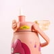 thumbnail image 4 of Termo Kawaii Sanrio Hello Kitty 316, taza de Anime Cinnamoroll Kuromi portátil para exteriores, botella de agua deportiva de gran capacidad, regalo para niñas, 4 of 4