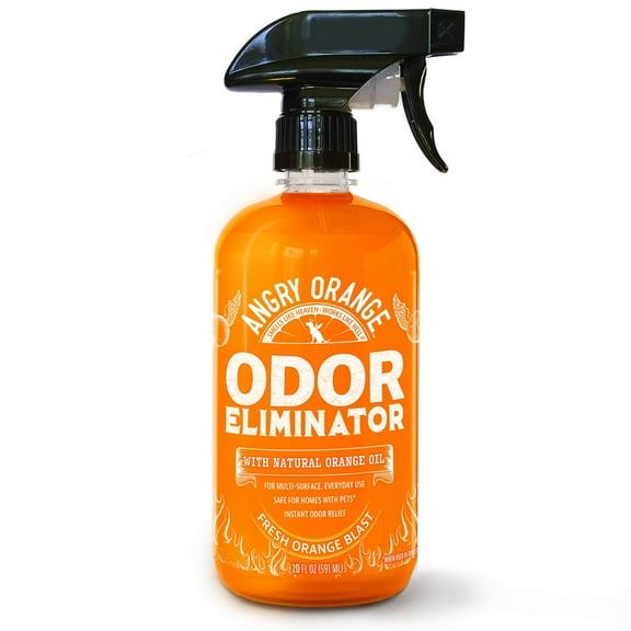 Ready To Use Orange Scented Pet Odor Eliminator - 20 fl oz