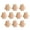 A, variant on 10 PCS Brooch Pin Lovely Bear Plush Dolls Brooch Pin Bag Decoration Jackets Lapel Accessories Plush Brooch