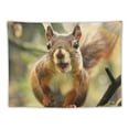 thumbnail image 5 of Orinice  Funny Squirrel Print Tapestry Wall Hanging Easy To Install Wall Blanket For Bedroom Bath Home Decor  40x60inch, 5 of 6