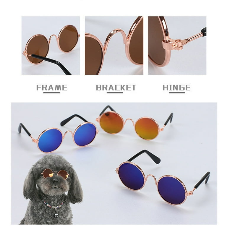 Types of dog best sale accessories