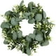 thumbnail image 1 of Bearachild Guirnalda verde artificial para colgar en la pared, decoración de puerta de primavera para interiores y exteriores Kits de decoración para fiestas Verde S Bearachild HA044534-01, 1 of 1