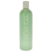 Aquage Smoothing Shampoo 12 oz