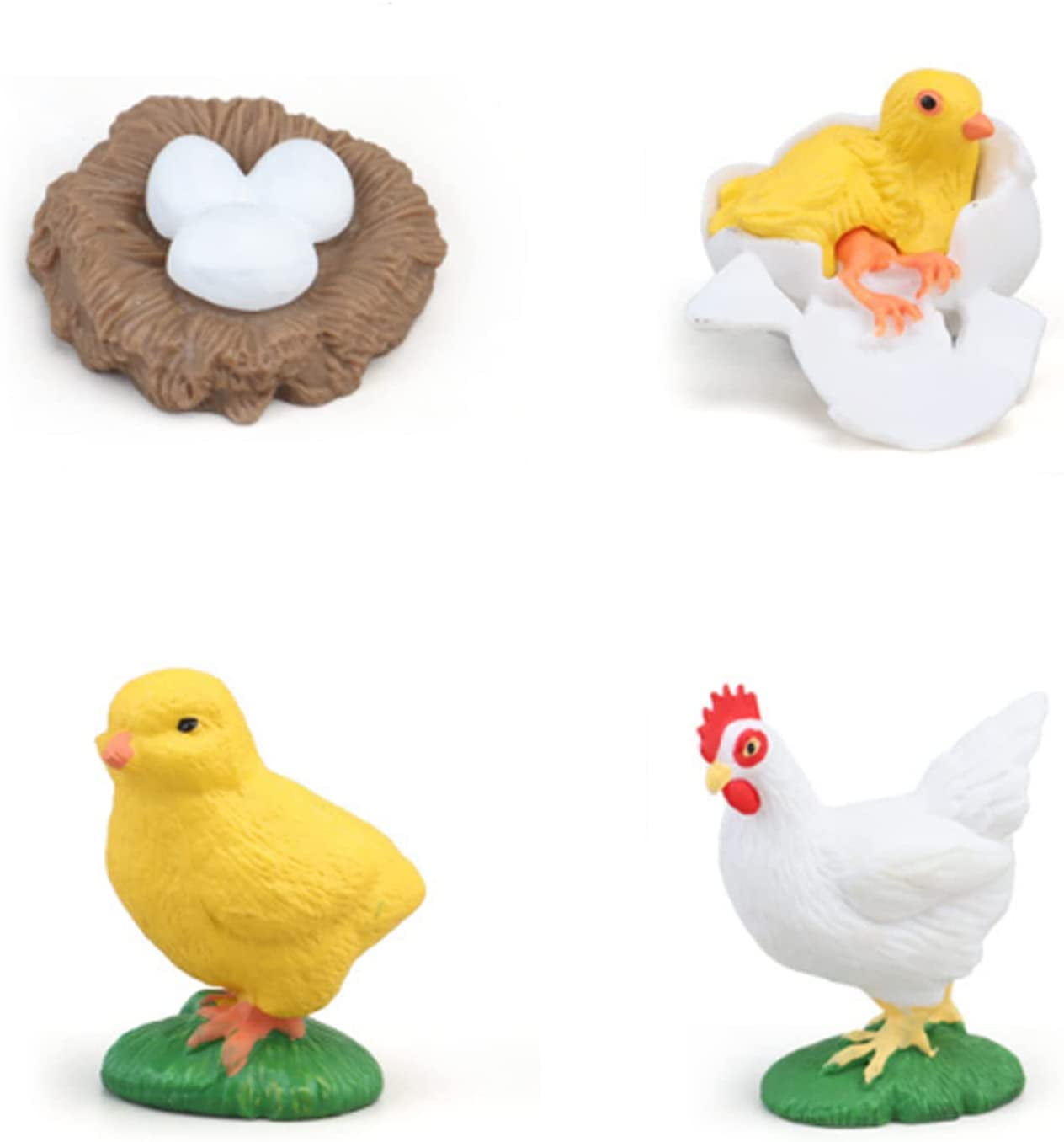 4PC Insect Figurines Life Cycle of Rooster, Ant, Bee, Butterfly ...