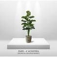 thumbnail image 2 of Cypress & Alabaster  4' Realistic Artificial Monstera Plant In Home Basics Starter Pot for Home Dcor, Office, 2 of 6