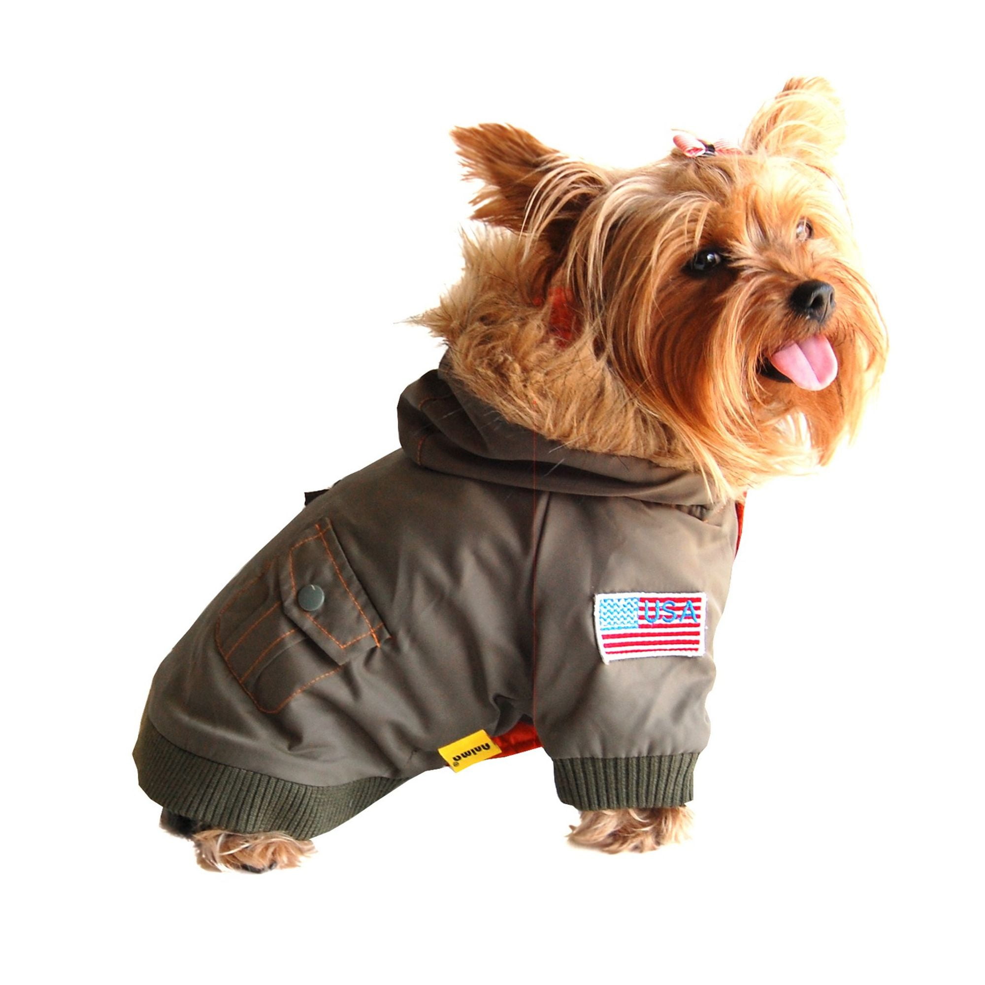 puppy bomber jacket