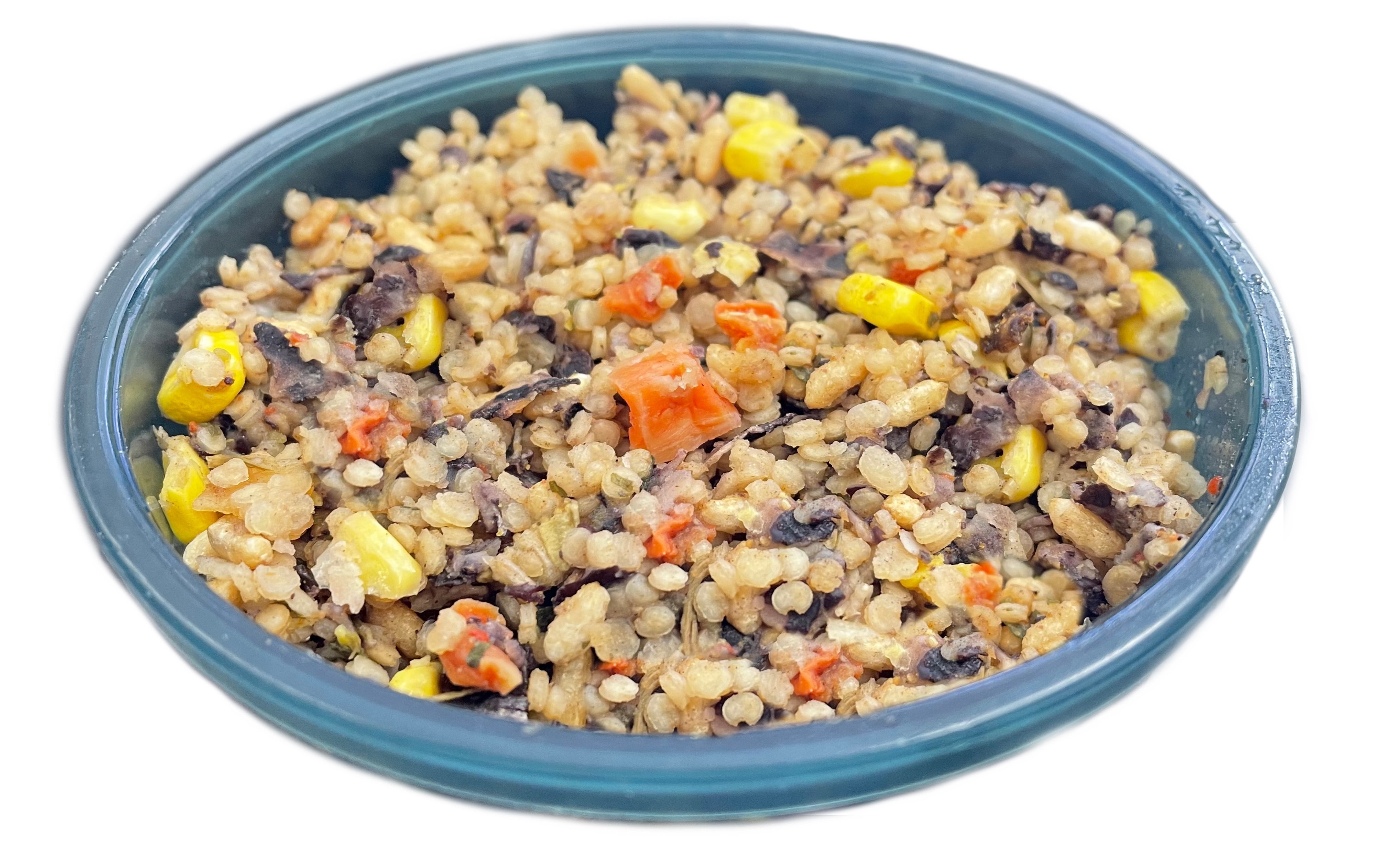 Outdoor Herbivore Backpacking Meal 3-Pack Set (Vegan)