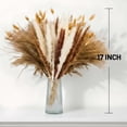 thumbnail image 5 of Sanmadrola Pampas Grass Boho Decor 100 PCS Home Decoration Boho Flowers Home Table Decor Rustic Farmhouse Party 17'', 5 of 7