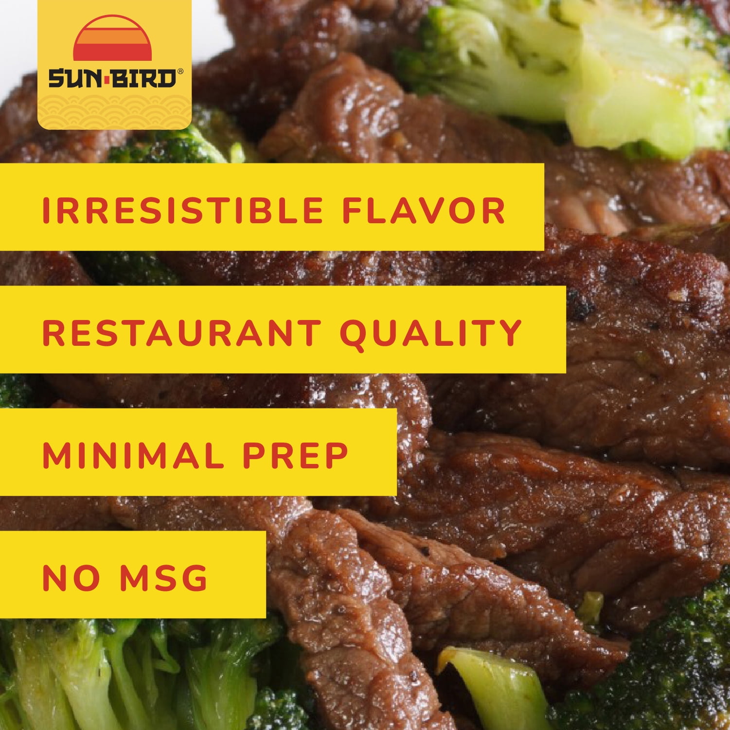(6 pack) Sun-Bird Beef & Broccoli Seasoning Mix, 1 oz Pouch