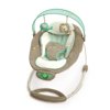 Ingenuity Gentle Automatic Bouncer - Whimsical Wonders