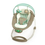 Ingenuity Gentle Automatic Bouncer - Whimsical Wonders