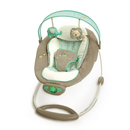 Ingenuity Gentle Automatic Bouncer - Whimsical Wonders