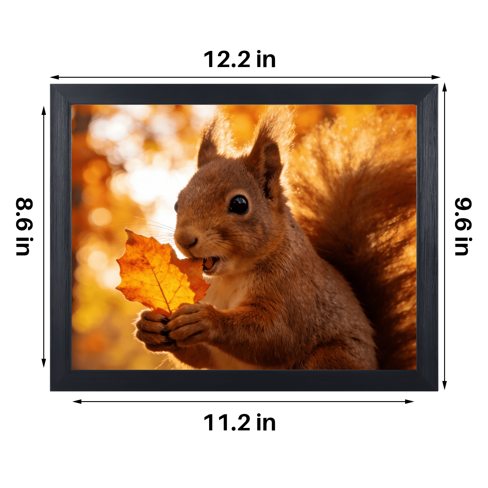 6 Pack 8.5x11 Picture Frames for Home Decor, Black
