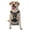 With Accessories, variant on Vsdgher Sunset Meditating Bichon Frise Pattern Dog Harness,No Pull Pet Harness with Soft Padded Handle,Adjustable Reflective Vest with 2 Buckles,4 Slide Buckles,S-XL