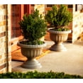 thumbnail image 2 of Bloem Grecian Urn Planter 18" White (2-Pack), 2 of 2
