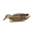 thumbnail image 3 of AVIAN-X Topflight Backwater Mallards Durable Ultra Realistic Floating Hunting Decoys, Pack of 6, AVX8070, 3 of 4